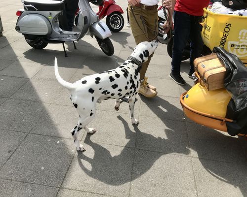 14.04.2024 Anrollen Stuttgart